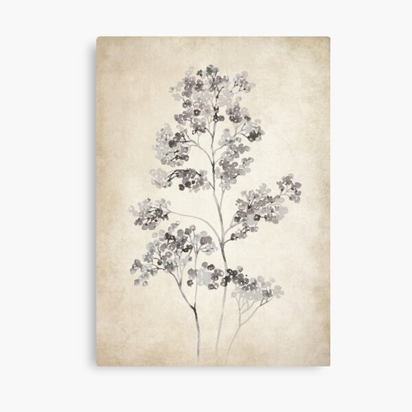 Gypsophila Wall Art for Sale | Redbubble