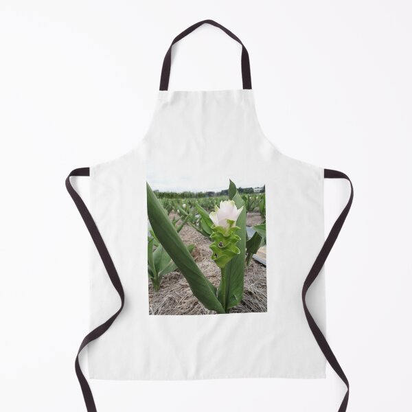 Item preview, Siam tulip is flowering plant, Curcuma sp. of the ginger family no. 54 designed and sold by greengoodnich.