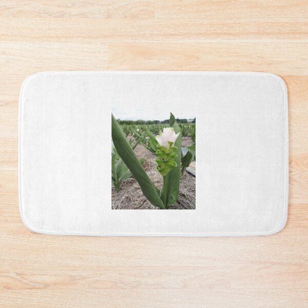 Item preview, Siam tulip is flowering plant, Curcuma sp. of the ginger family no. 54 designed and sold by greengoodnich.