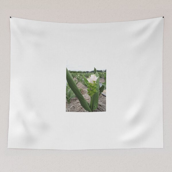 Item preview, Siam tulip is flowering plant, Curcuma sp. of the ginger family no. 54 designed and sold by greengoodnich.