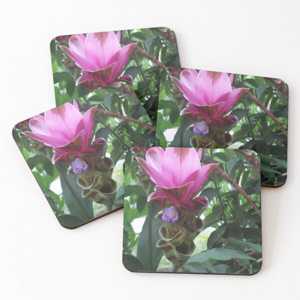 Item preview, Siam tulip is flowering plant, Curcuma sp. of the ginger family no. 55 designed and sold by greengoodnich.