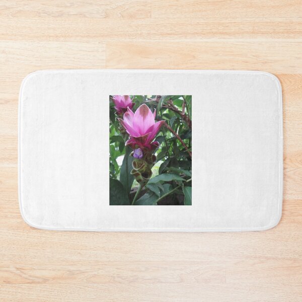 Item preview, Siam tulip is flowering plant, Curcuma sp. of the ginger family no. 55 designed and sold by greengoodnich.