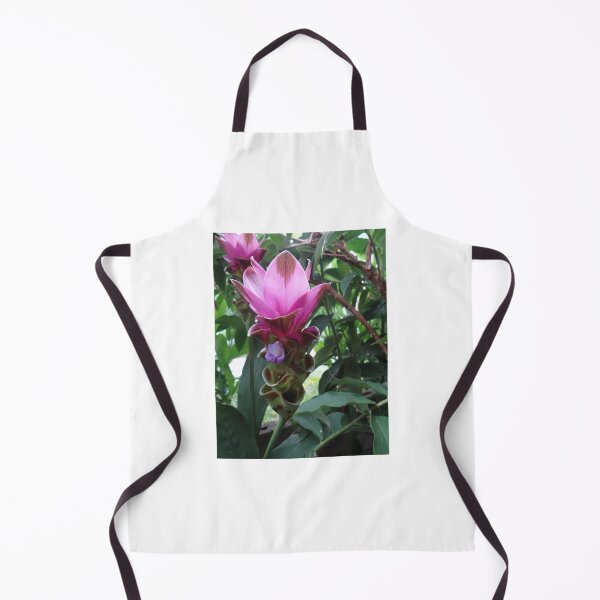 Item preview, Siam tulip is flowering plant, Curcuma sp. of the ginger family no. 55 designed and sold by greengoodnich.