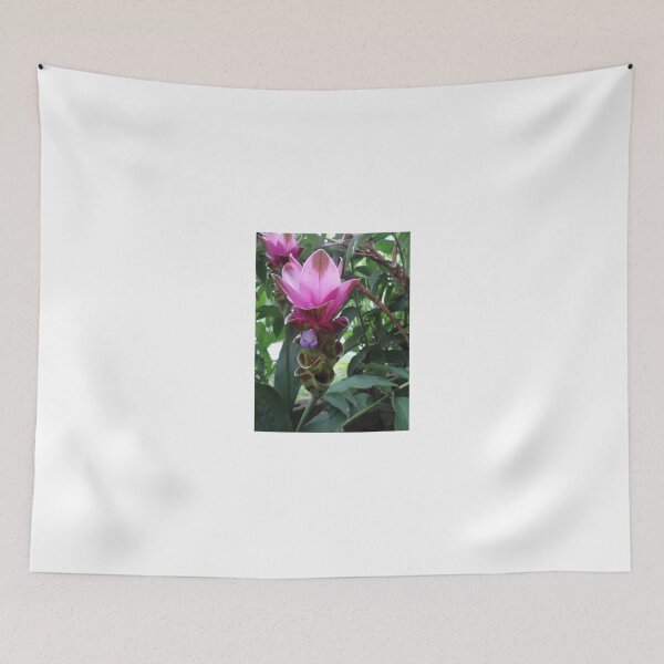 Item preview, Siam tulip is flowering plant, Curcuma sp. of the ginger family no. 55 designed and sold by greengoodnich.