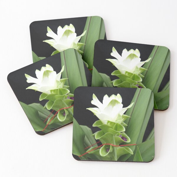 Item preview, Siam tulip is flowering plant, Curcuma sp. of the ginger family no. 56 designed and sold by greengoodnich.