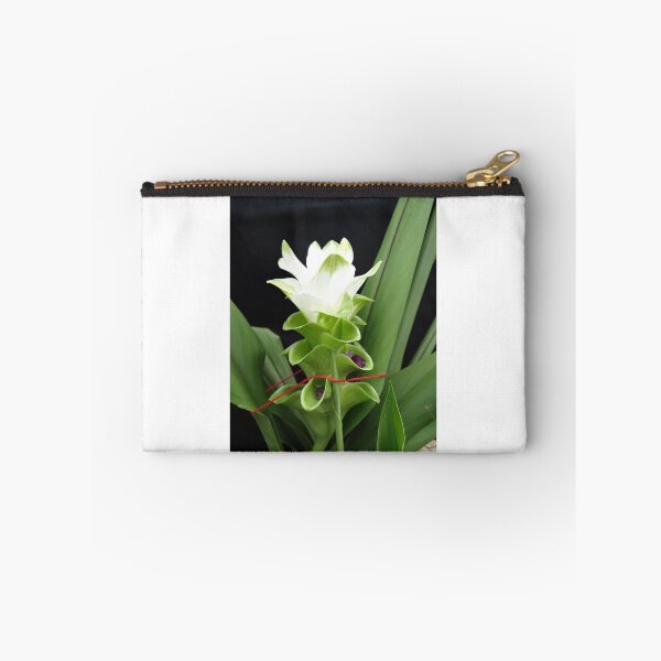 Artikelvorschau, Siam-Tulpe ist eine blühende Pflanze, Curcuma sp. der Ingwergewächse Nr. 56 entworfen und verkauft von greengoodnich.