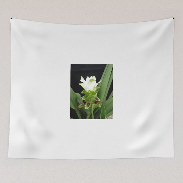 Item preview, Siam tulip is flowering plant, Curcuma sp. of the ginger family no. 56 designed and sold by greengoodnich.