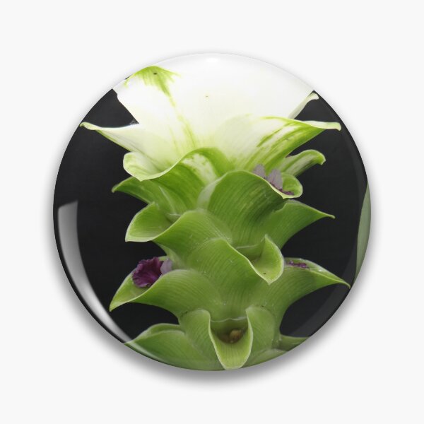 Item preview, Siam tulip is flowering plant, Curcuma sp. of the ginger family no. 57 designed and sold by greengoodnich.