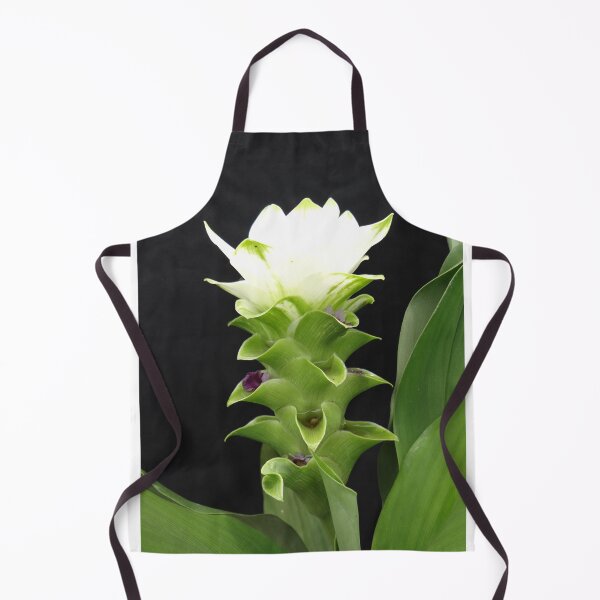 Item preview, Siam tulip is flowering plant, Curcuma sp. of the ginger family no. 57 designed and sold by greengoodnich.