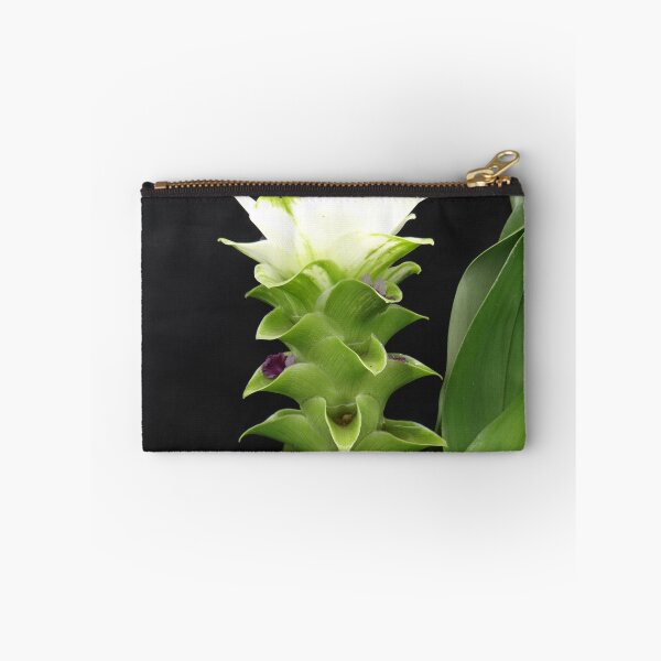 Artikelvorschau, Siam-Tulpe ist eine blühende Pflanze, Curcuma sp. der Ingwergewächse Nr. 57 entworfen und verkauft von greengoodnich.