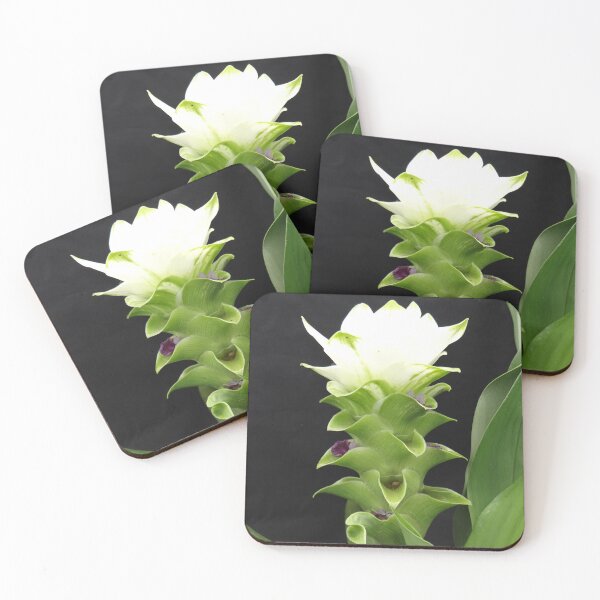 Item preview, Siam tulip is flowering plant, Curcuma sp. of the ginger family no. 57 designed and sold by greengoodnich.
