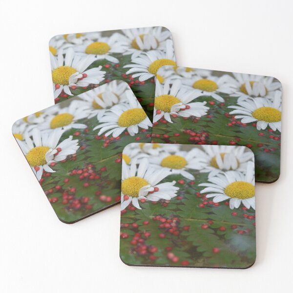 Item preview, daisy flowers designed and sold by Claude Laprise.