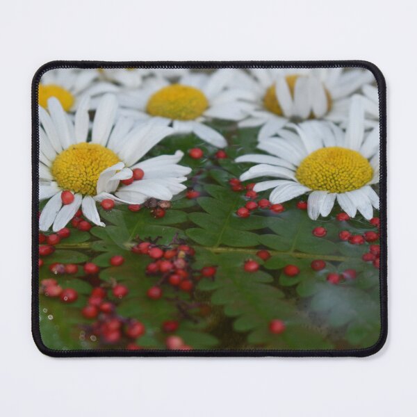 Item preview, daisy flowers designed and sold by Claude Laprise.