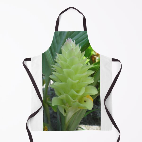Item preview, Siam tulip is flowering plant, Curcuma sp. of the ginger family no. 58 designed and sold by greengoodnich.