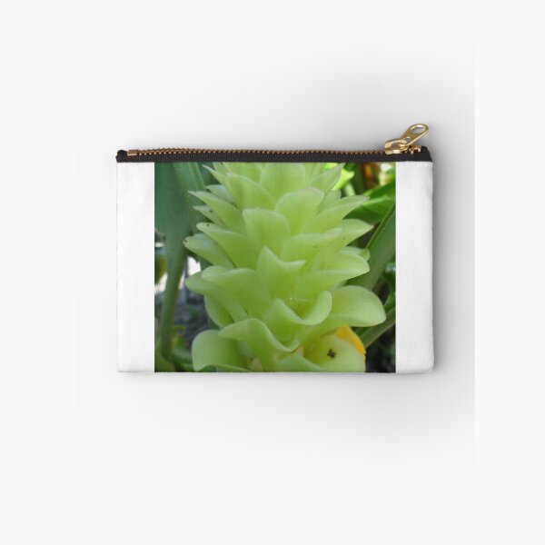 Item preview, Siam tulip is flowering plant, Curcuma sp. of the ginger family no. 58 designed and sold by greengoodnich.