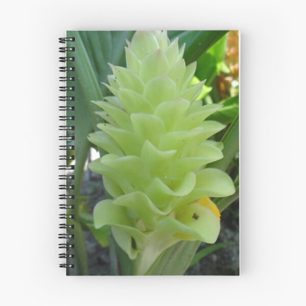 Item preview, Siam tulip is flowering plant, Curcuma sp. of the ginger family no. 58 designed and sold by greengoodnich.