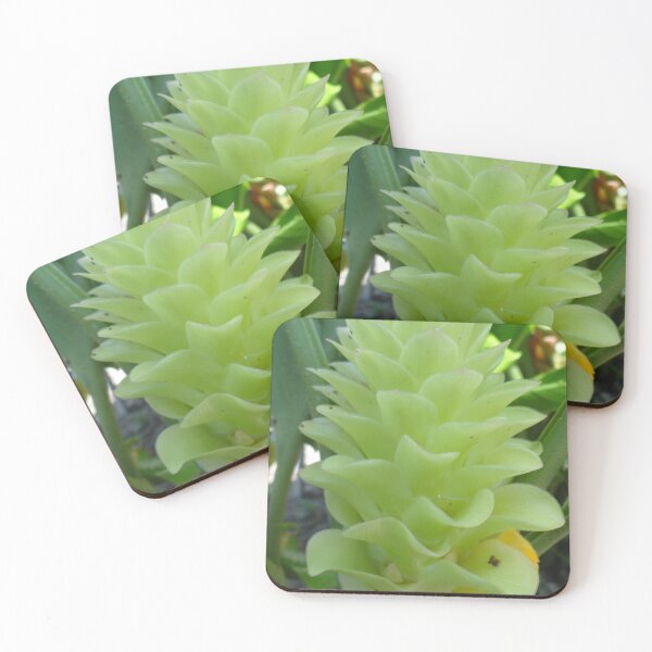 Item preview, Siam tulip is flowering plant, Curcuma sp. of the ginger family no. 58 designed and sold by greengoodnich.