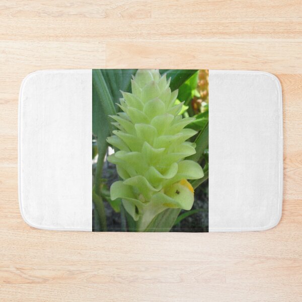 Item preview, Siam tulip is flowering plant, Curcuma sp. of the ginger family no. 58 designed and sold by greengoodnich.