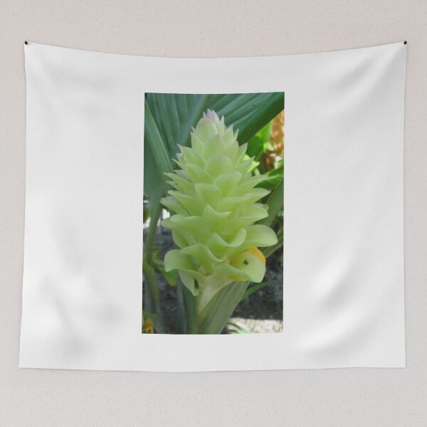 Item preview, Siam tulip is flowering plant, Curcuma sp. of the ginger family no. 58 designed and sold by greengoodnich.