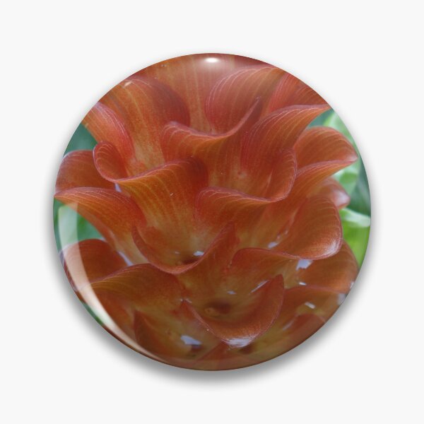 Item preview, Siam tulip is flowering plant, Curcuma sp. of the ginger family no. 59 designed and sold by greengoodnich.