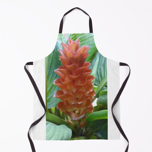 Item preview, Siam tulip is flowering plant, Curcuma sp. of the ginger family no. 59 designed and sold by greengoodnich.