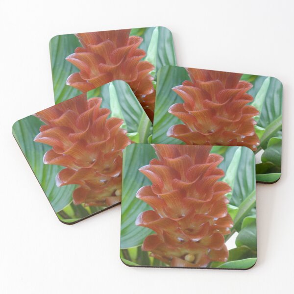 Item preview, Siam tulip is flowering plant, Curcuma sp. of the ginger family no. 59 designed and sold by greengoodnich.