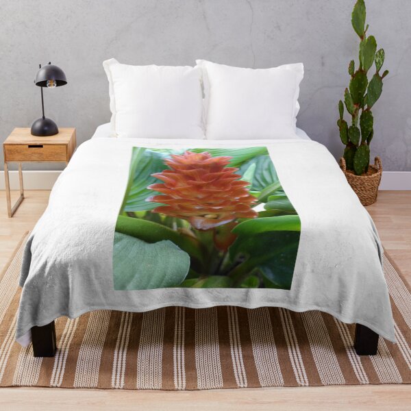Item preview, Siam tulip is flowering plant, Curcuma sp. of the ginger family no. 59 designed and sold by greengoodnich.