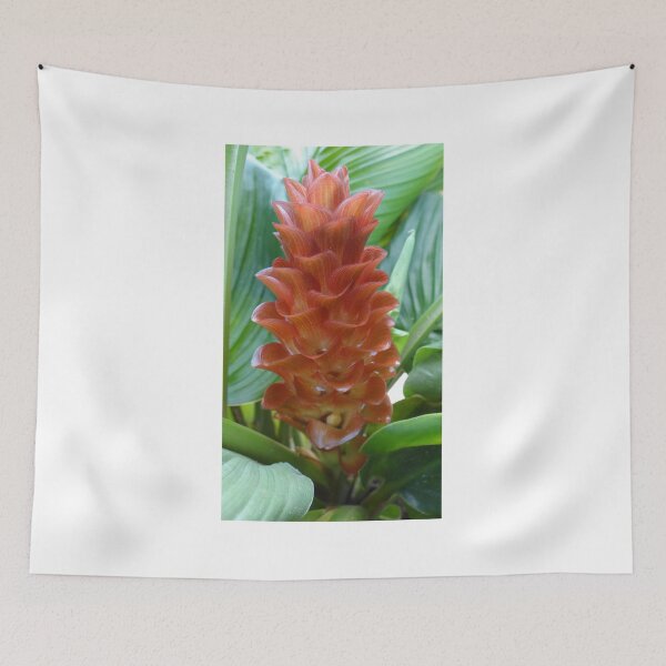 Item preview, Siam tulip is flowering plant, Curcuma sp. of the ginger family no. 59 designed and sold by greengoodnich.