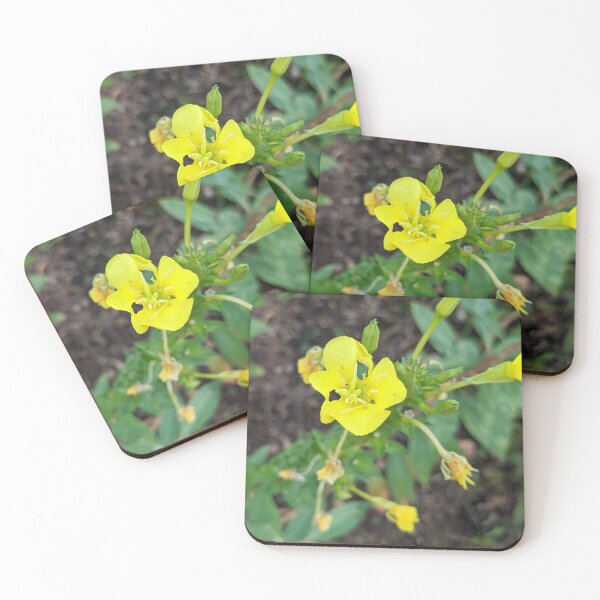 Item preview, Yellow Evening Primrose designed and sold by TheRealDanniX.