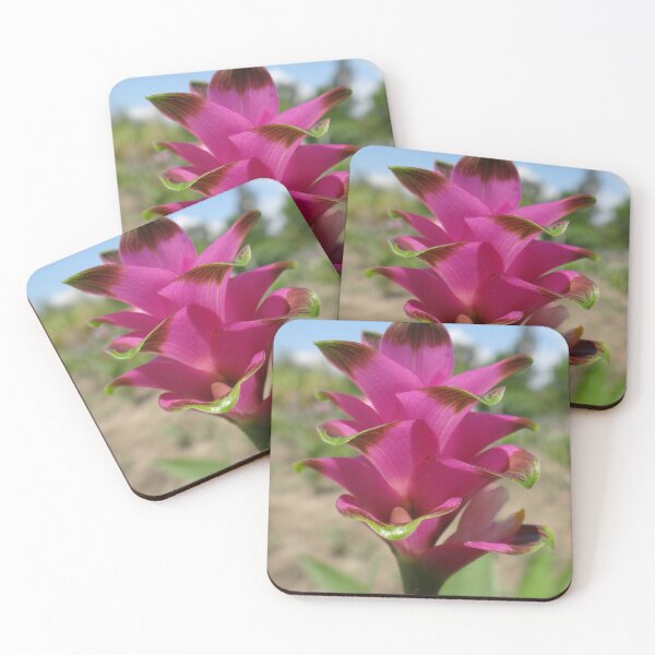 Item preview, Siam tulip is flowering plant, Curcuma sp. of the ginger family no. 60 designed and sold by greengoodnich.