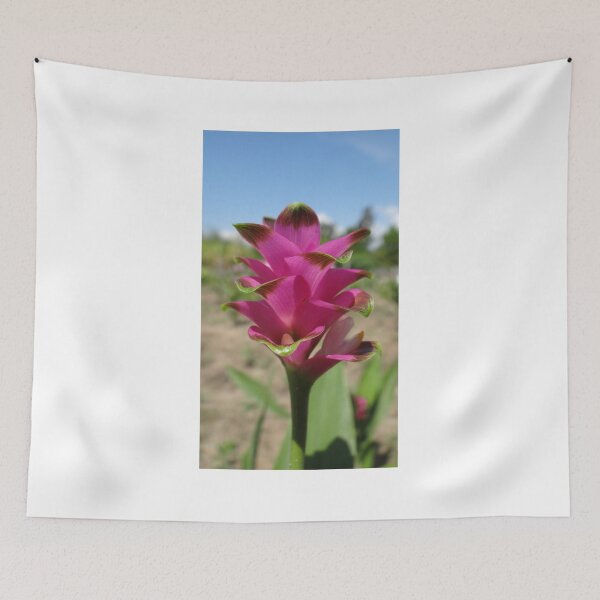 Item preview, Siam tulip is flowering plant, Curcuma sp. of the ginger family no. 60 designed and sold by greengoodnich.