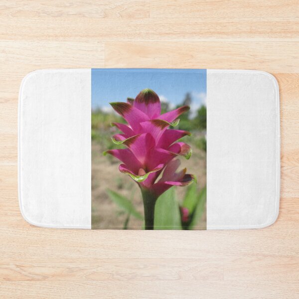 Item preview, Siam tulip is flowering plant, Curcuma sp. of the ginger family no. 60 designed and sold by greengoodnich.