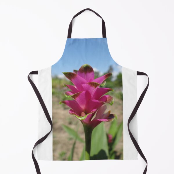 Item preview, Siam tulip is flowering plant, Curcuma sp. of the ginger family no. 60 designed and sold by greengoodnich.