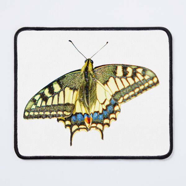 Item preview, Swallowtail Butterfly designed and sold by Dalyndigital Photography.