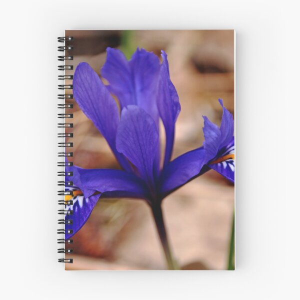 Item preview, Harmony In Blue designed and sold by Debbie Oppermann.
