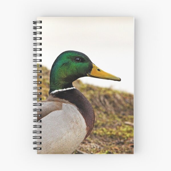 Item preview, Drake Mallard Portrait designed and sold by Debbie Oppermann.