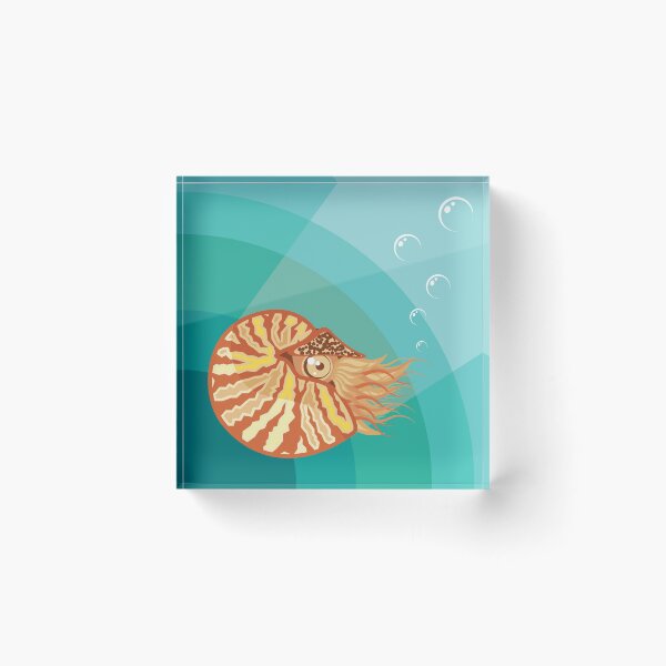 Item preview, Nautilo designed and sold by vectorworks51.