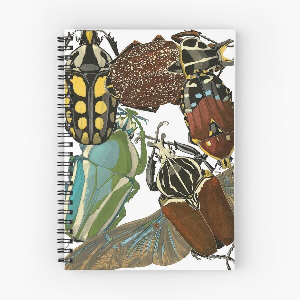 Item preview, Vintage Art Deco insects by Emile-Allain Séguy designed and sold by IliaLobell.