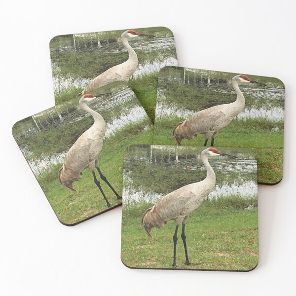 Item preview, Vista View of the Endangered Birds Sandhill Crane by a pond designed and sold by VistaViews.