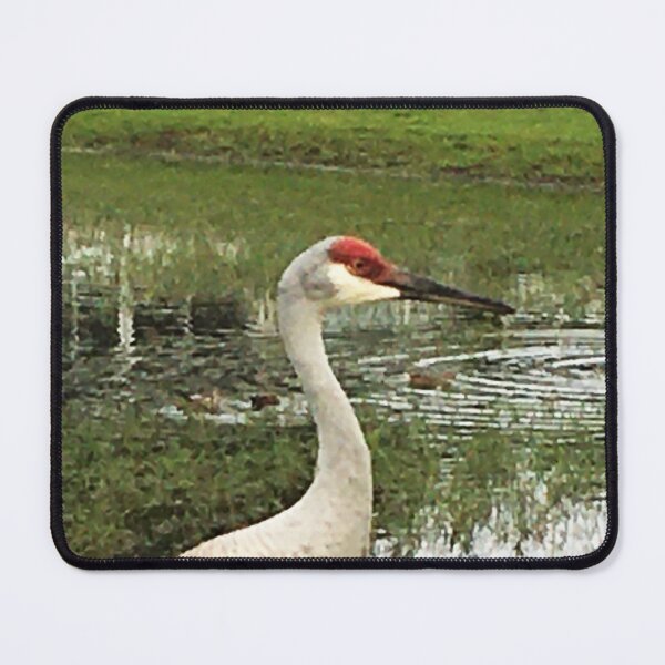 Item preview, Vista View of the Endangered Birds Sandhill Crane by a pond designed and sold by VistaViews.