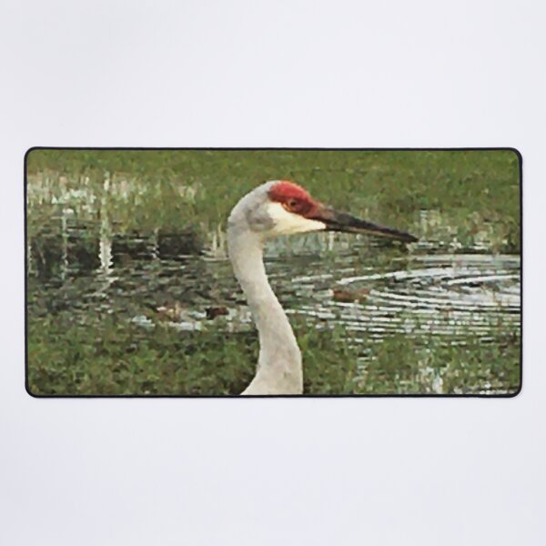Item preview, Vista View of the Endangered Birds Sandhill Crane by a pond designed and sold by VistaViews.