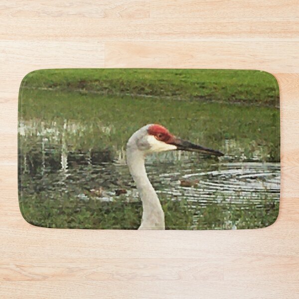 Item preview, Vista View of the Endangered Birds Sandhill Crane by a pond designed and sold by VistaViews.