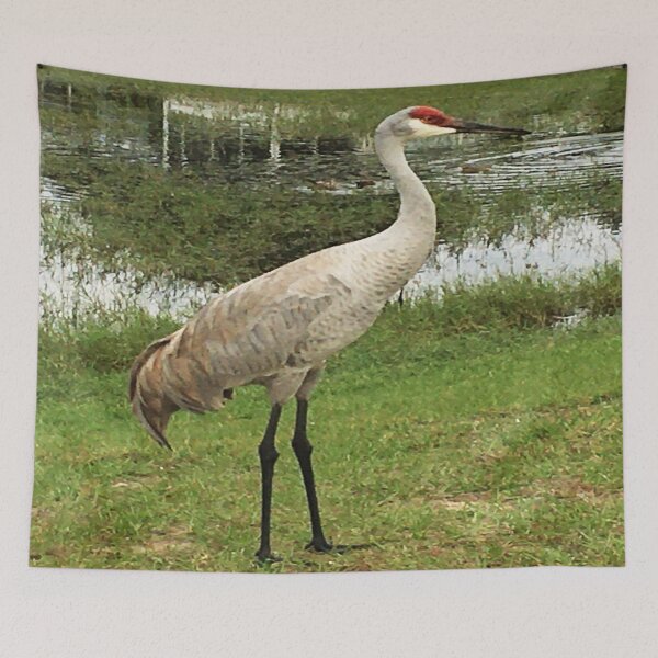 Item preview, Vista View of the Endangered Birds Sandhill Crane by a pond designed and sold by VistaViews.