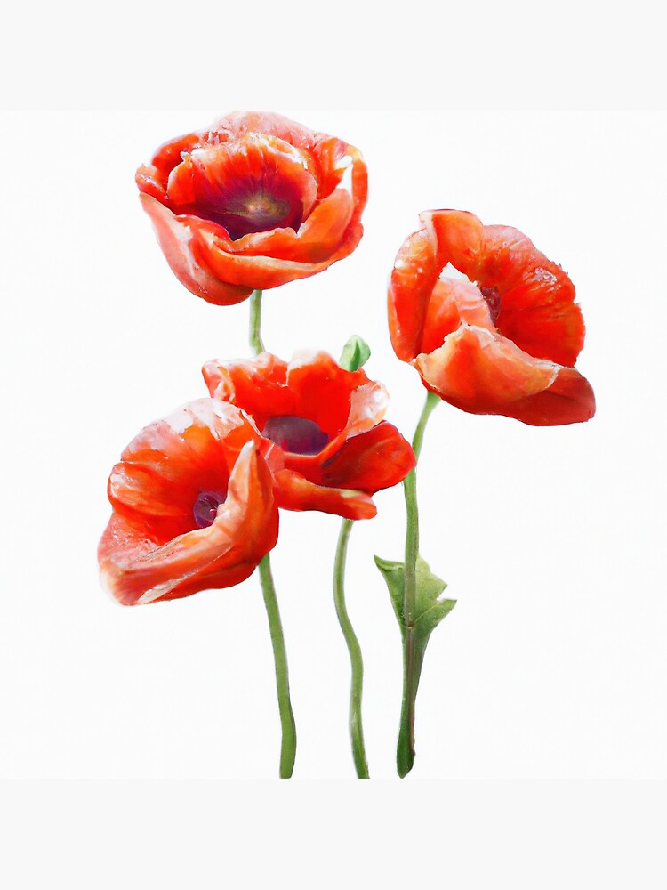 Red Poppy Flowers