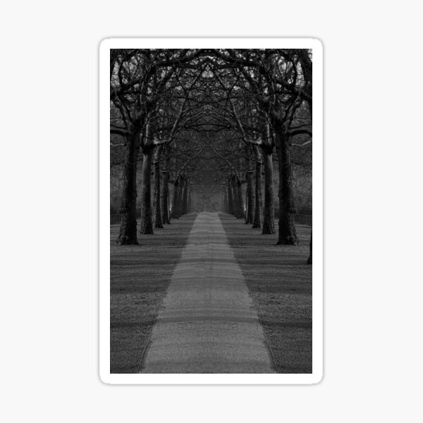 London Trees Sticker