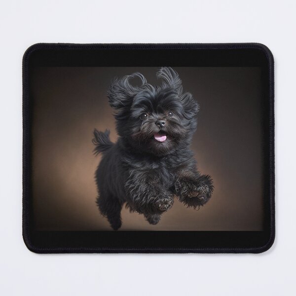 Item preview, Dog - Affenpinscher designed and sold by schizarty.