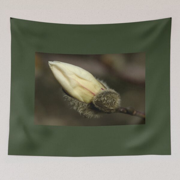 Item preview, Magnolia Kobus Bud designed and sold by Debbie Oppermann.