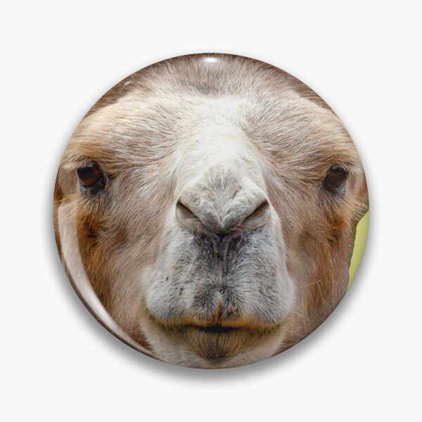 Item preview, Bactrian camel designed and sold by Dalyndigital Photography.