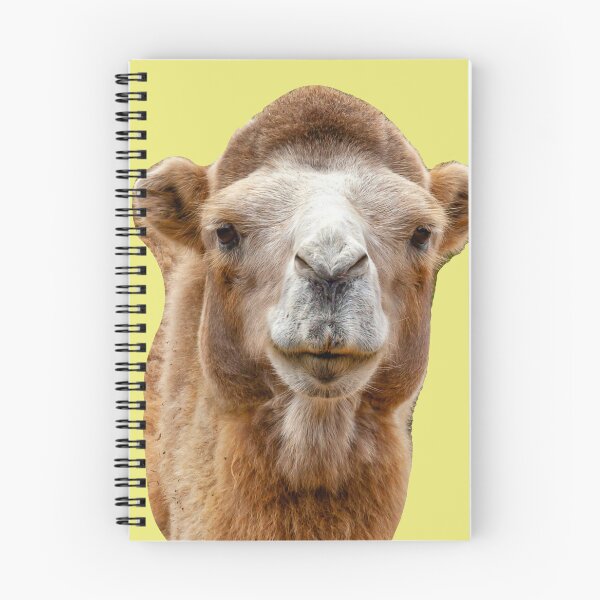 Item preview, Bactrian camel designed and sold by Dalyndigital Photography.