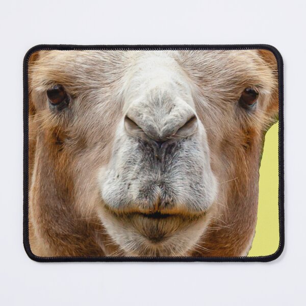 Item preview, Bactrian camel designed and sold by Dalyndigital Photography.